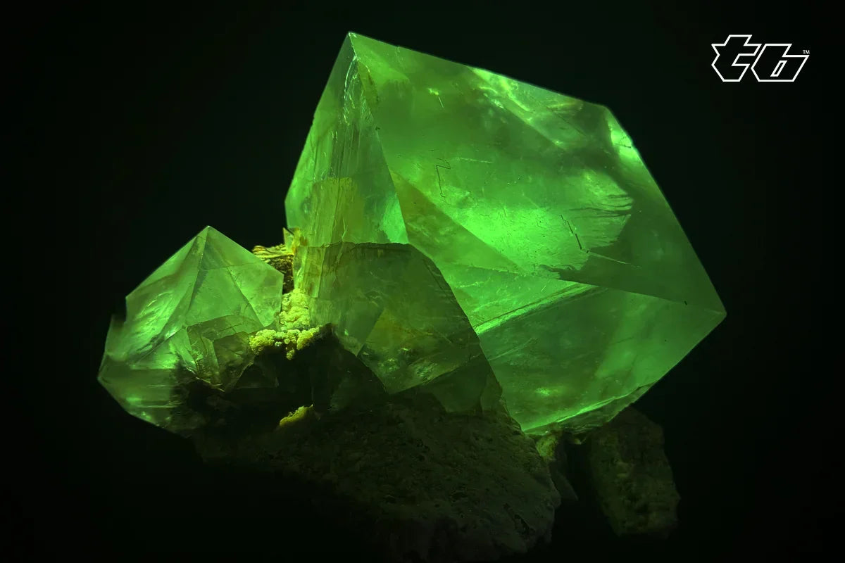 Gems In The Dark