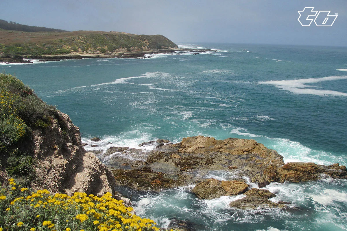Crustic Coastal California