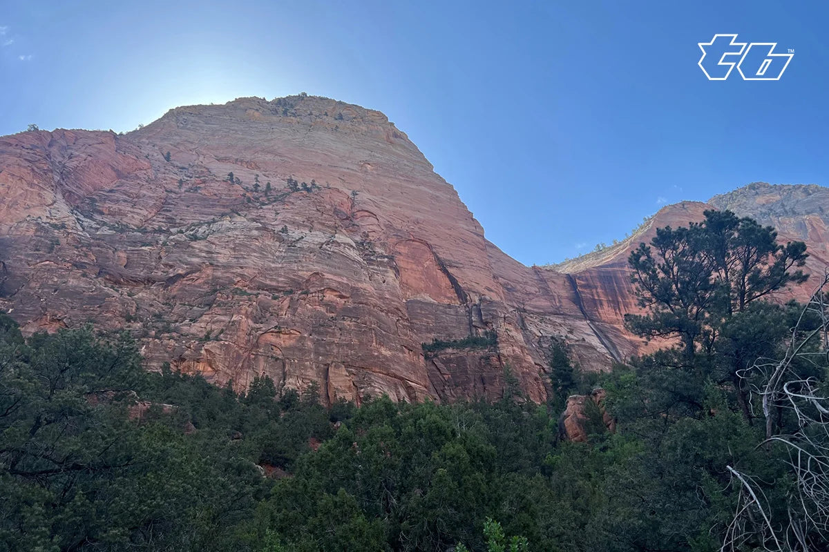 Zion Unleashes Wild Wonders