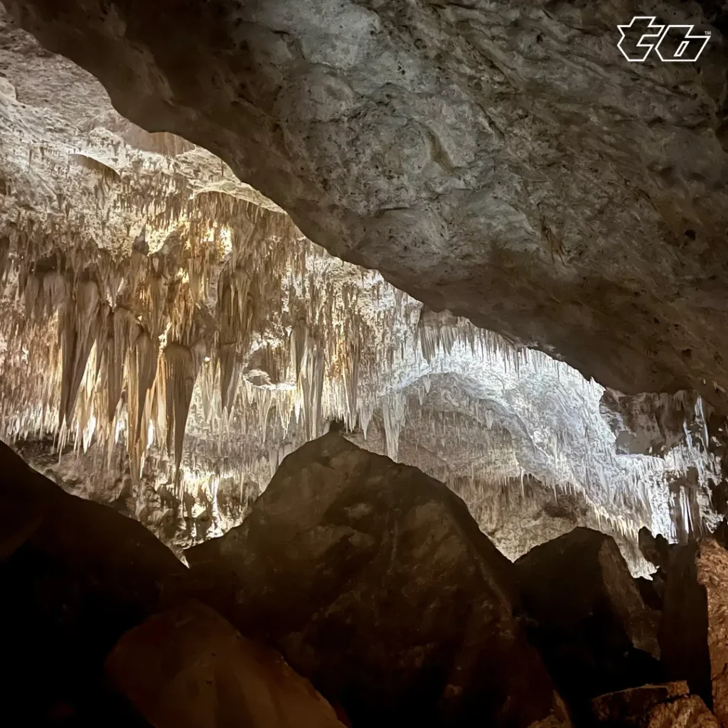 Carlsbad Caverns Stalactite