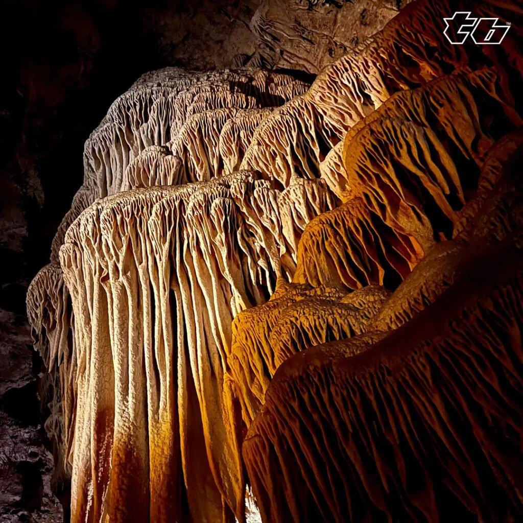 Stalagmites in the Carlsbad Caverns