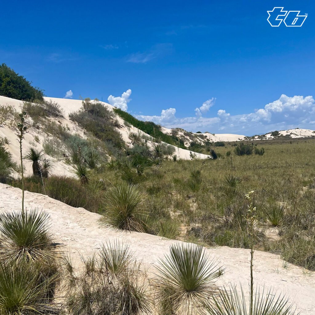 White Sands National Park