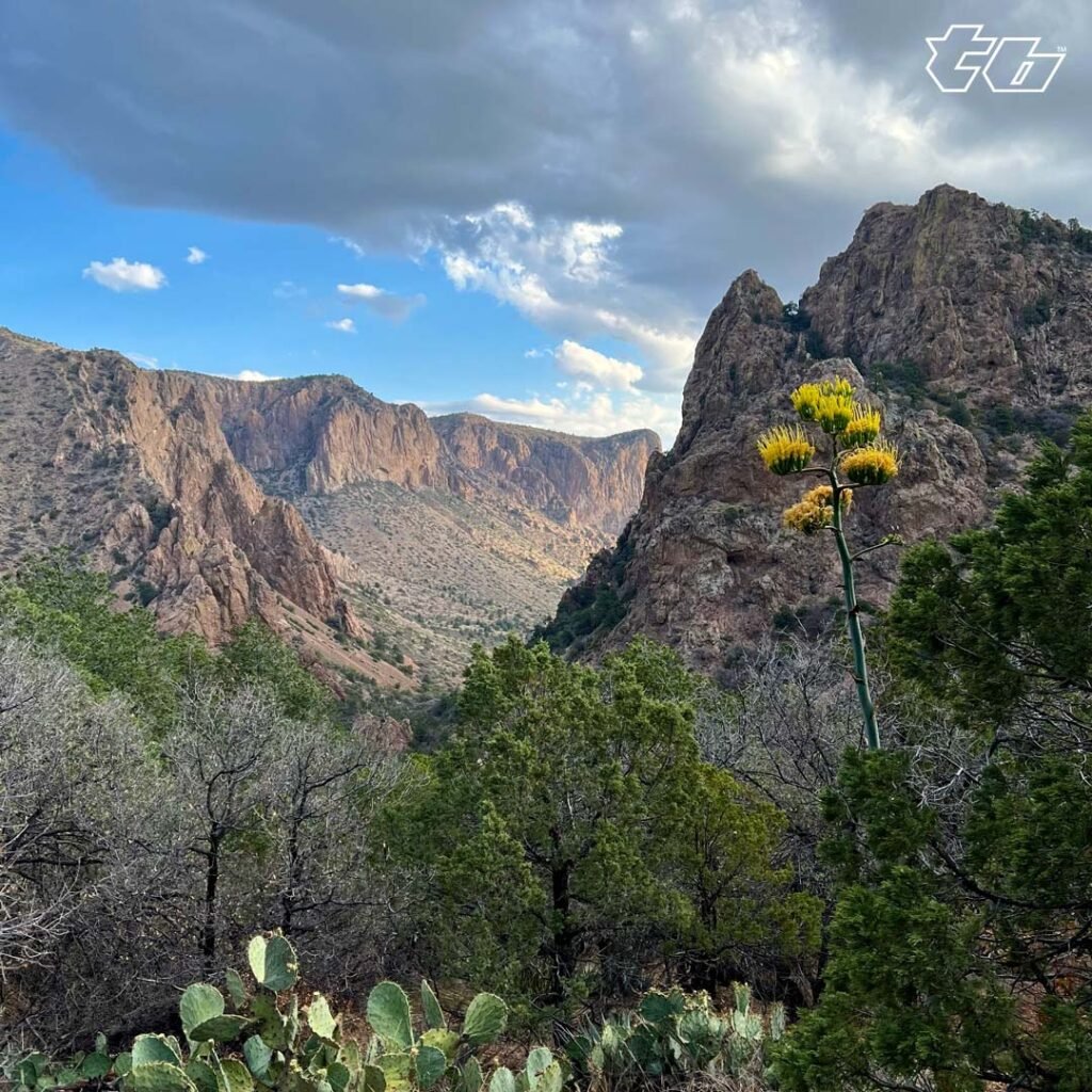 Old Mine Trail At Big Bend National Park