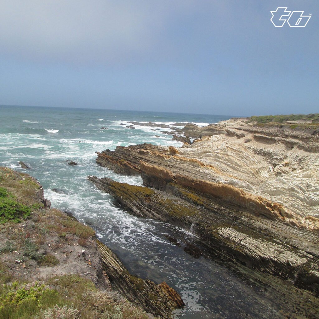 California Bluff on central coast