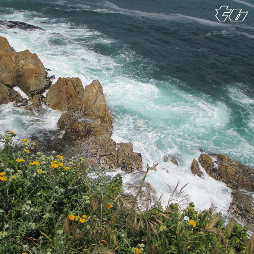Pacific ocean meeting a bluff